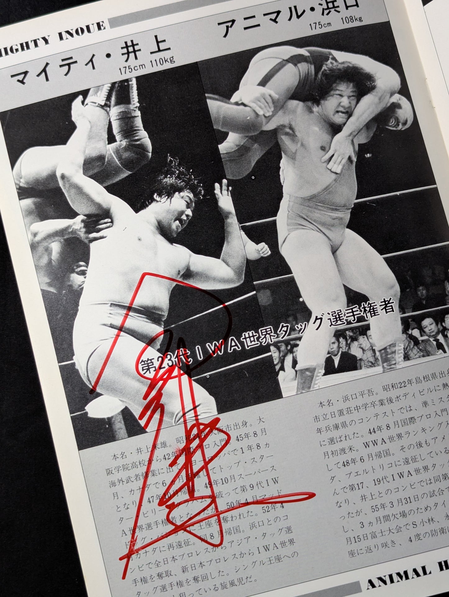 【10選手 直筆サイン入り】81スーパーファイトシリーズ / ルー・テーズ杯争奪リーグ戦