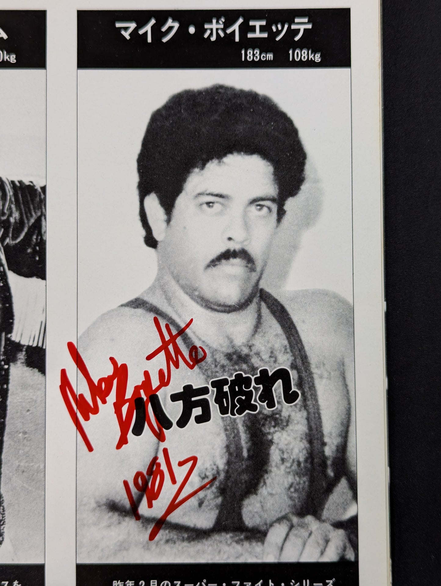 【10選手 直筆サイン入り】81スーパーファイトシリーズ / ルー・テーズ杯争奪リーグ戦