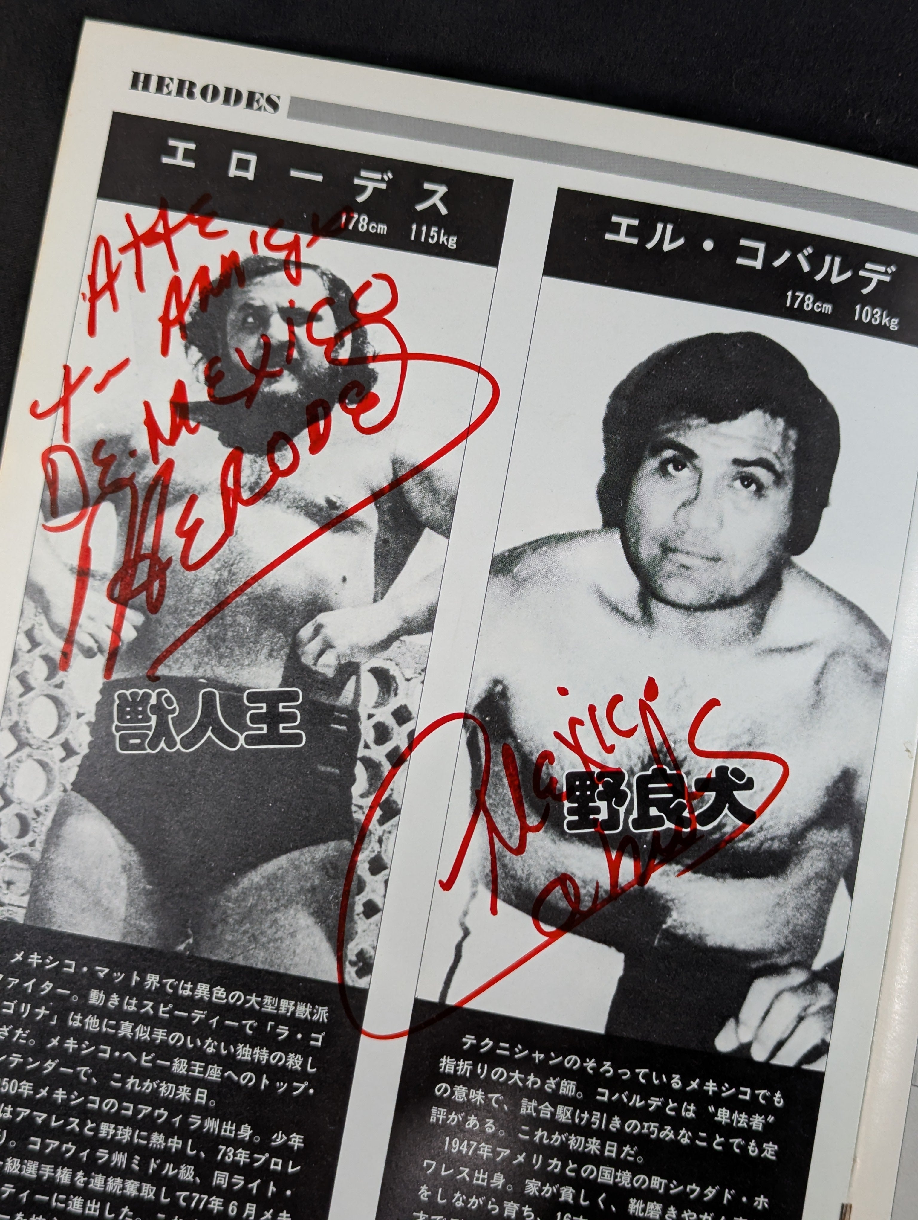 10選手 直筆サイン入り】81スーパーファイトシリーズ / ルー・テーズ杯