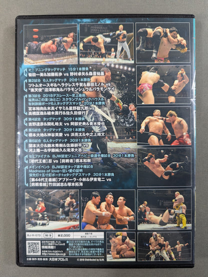 ②BJW 01/25 後楽園ホール2018