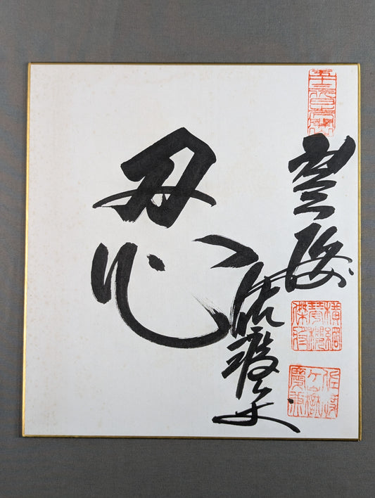 ★忍★ 佐渡々嶽(元琴櫻)
