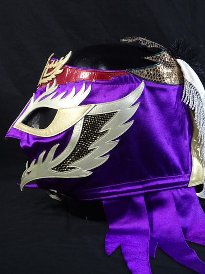 HAYABUSA 