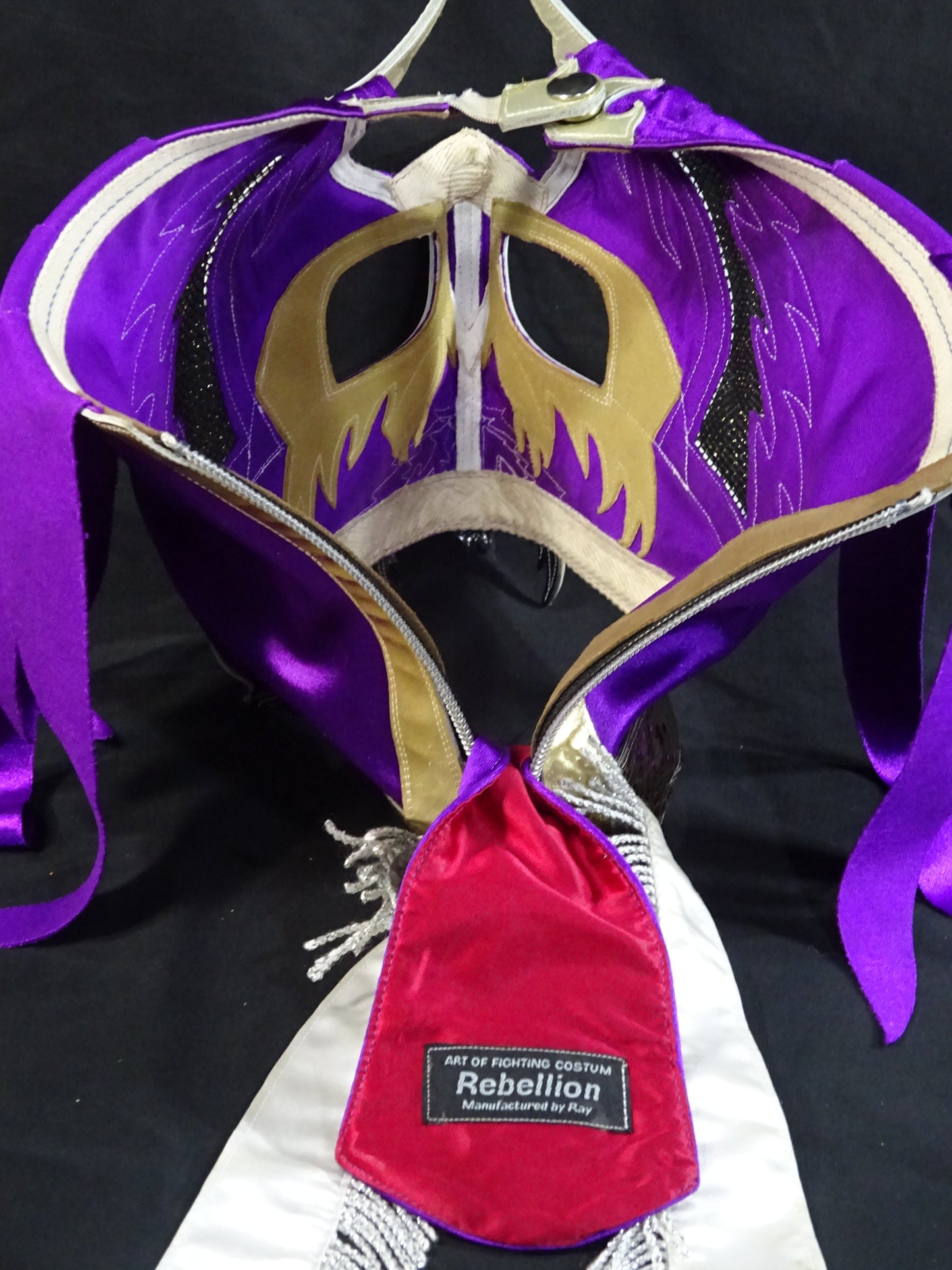 HAYABUSA 