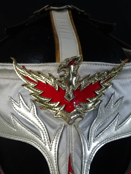HAYABUSA 