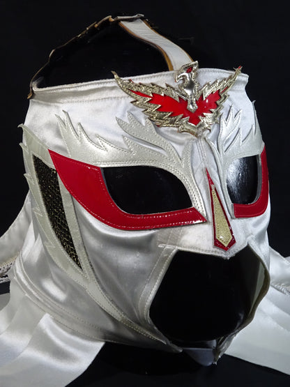 HAYABUSA 
