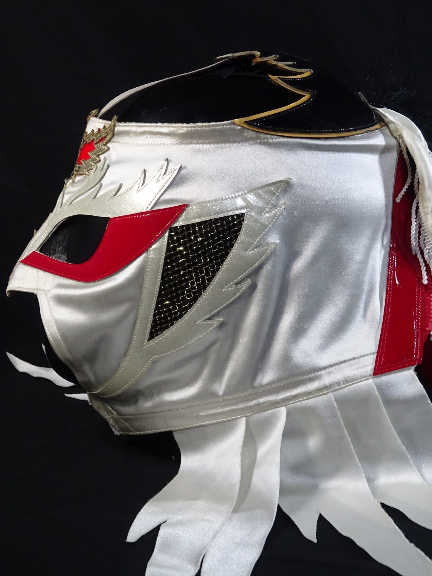HAYABUSA 