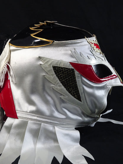 HAYABUSA 