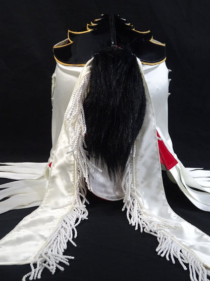 HAYABUSA 