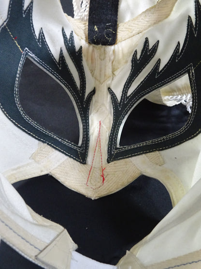 HAYABUSA 