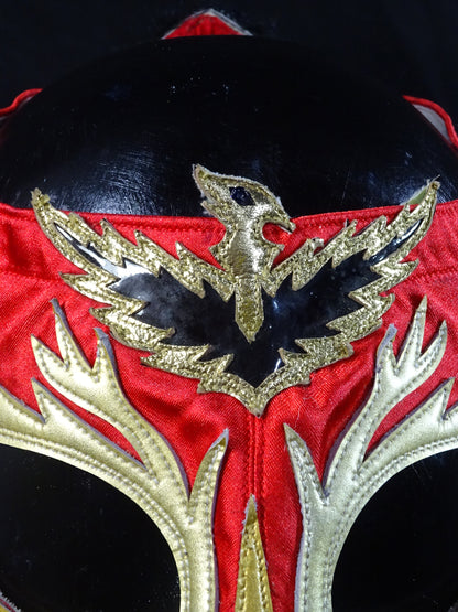 HAYABUSA 