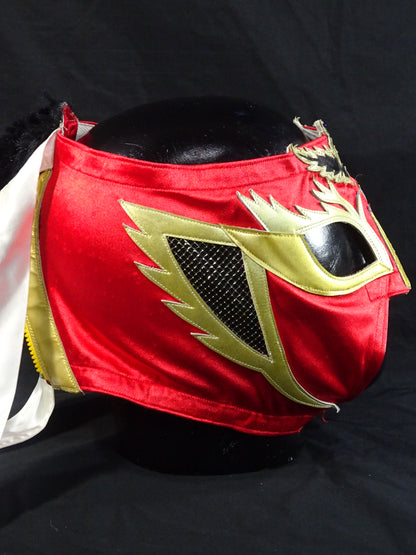 HAYABUSA 