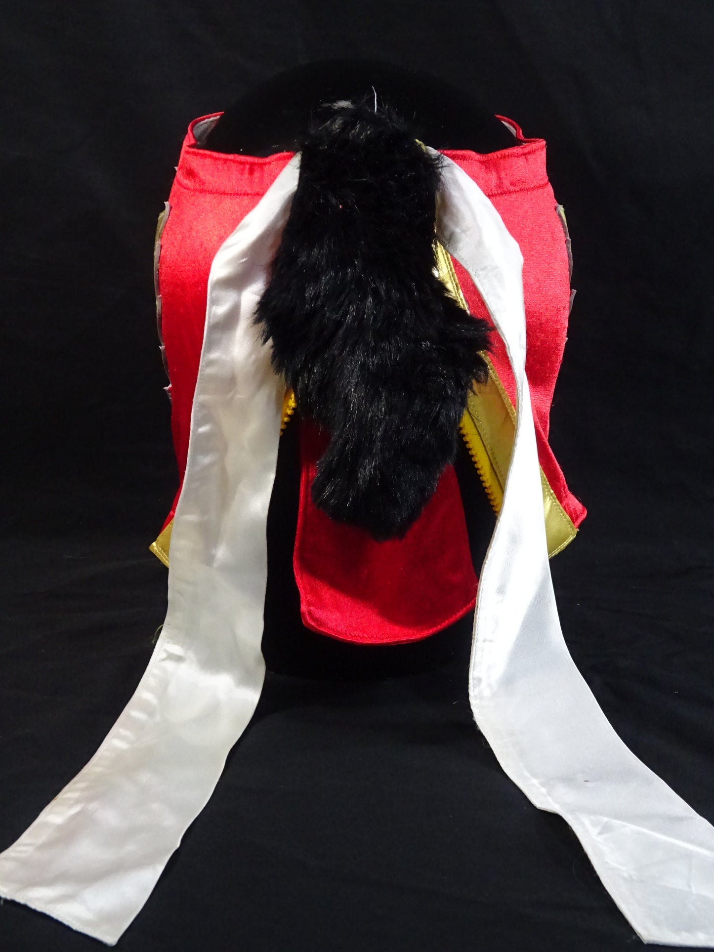 HAYABUSA 