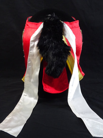 HAYABUSA 