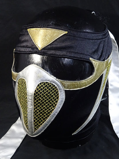 HAYABUSA 