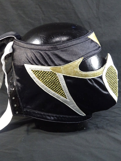 HAYABUSA 