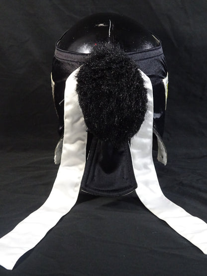 HAYABUSA 