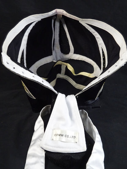 HAYABUSA 