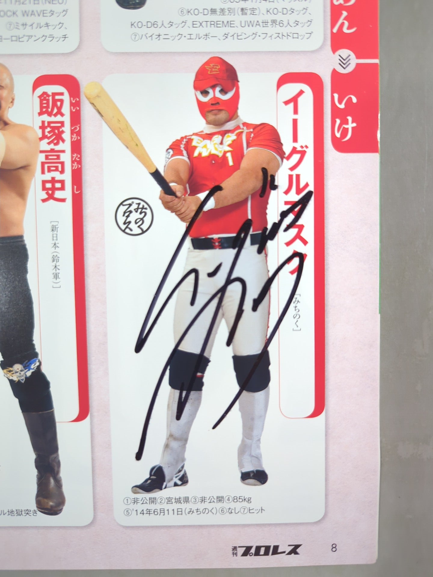 15名直筆サイン入り】週刊プロレス別冊127「2016 保存版プロレスラー