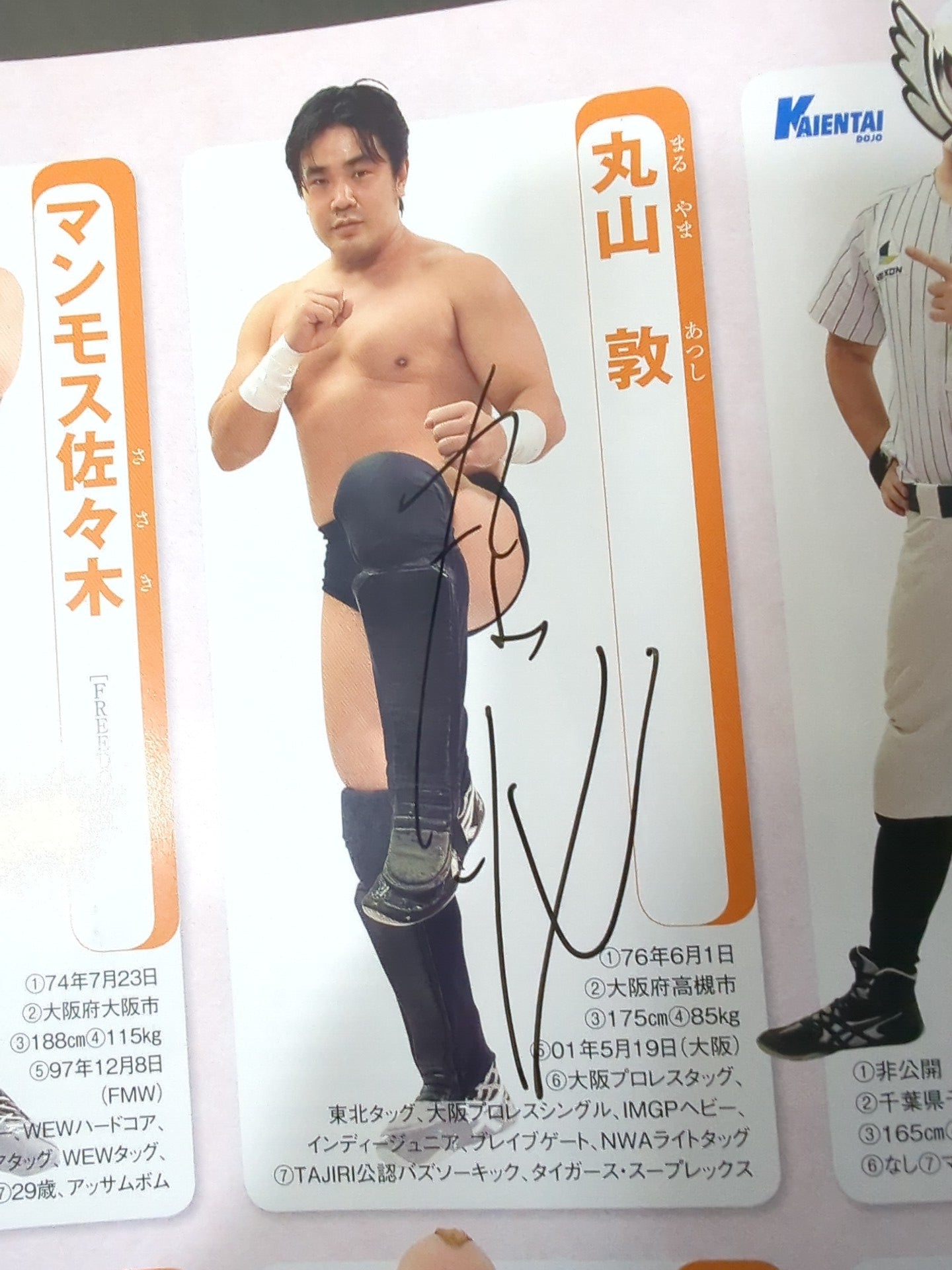 【15名直筆サイン入り】週刊プロレス別冊127「2016 保存版プロレスラー全身写真名鑑」