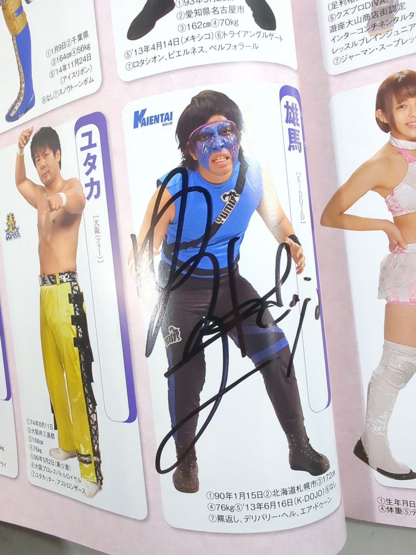 15名直筆サイン入り】週刊プロレス別冊127「2016 保存版プロレスラー