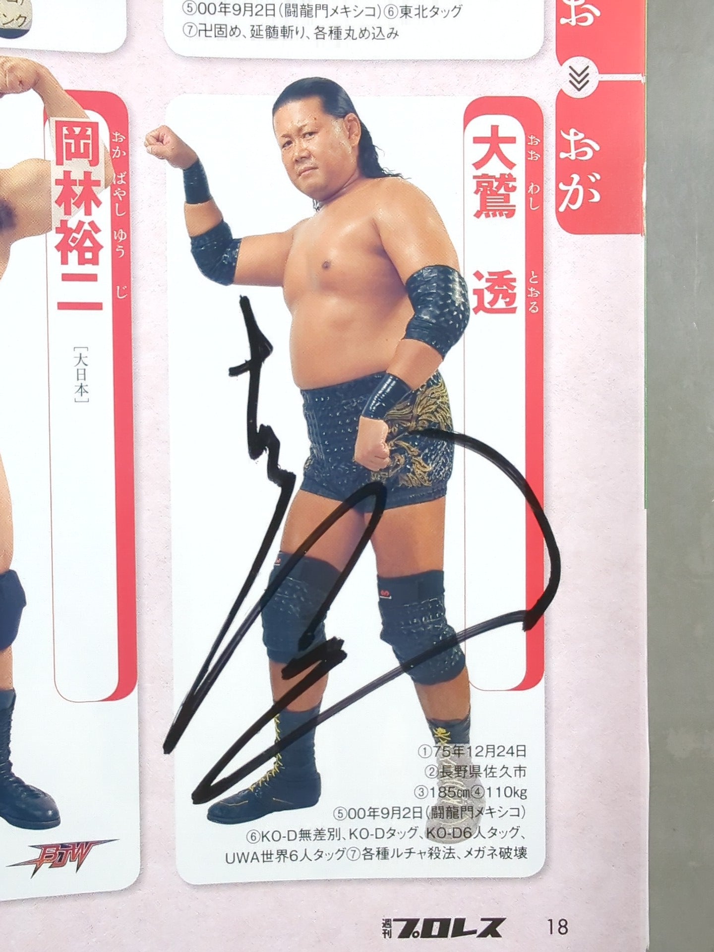 【15名直筆サイン入り】週刊プロレス別冊127「2016 保存版プロレスラー全身写真名鑑」