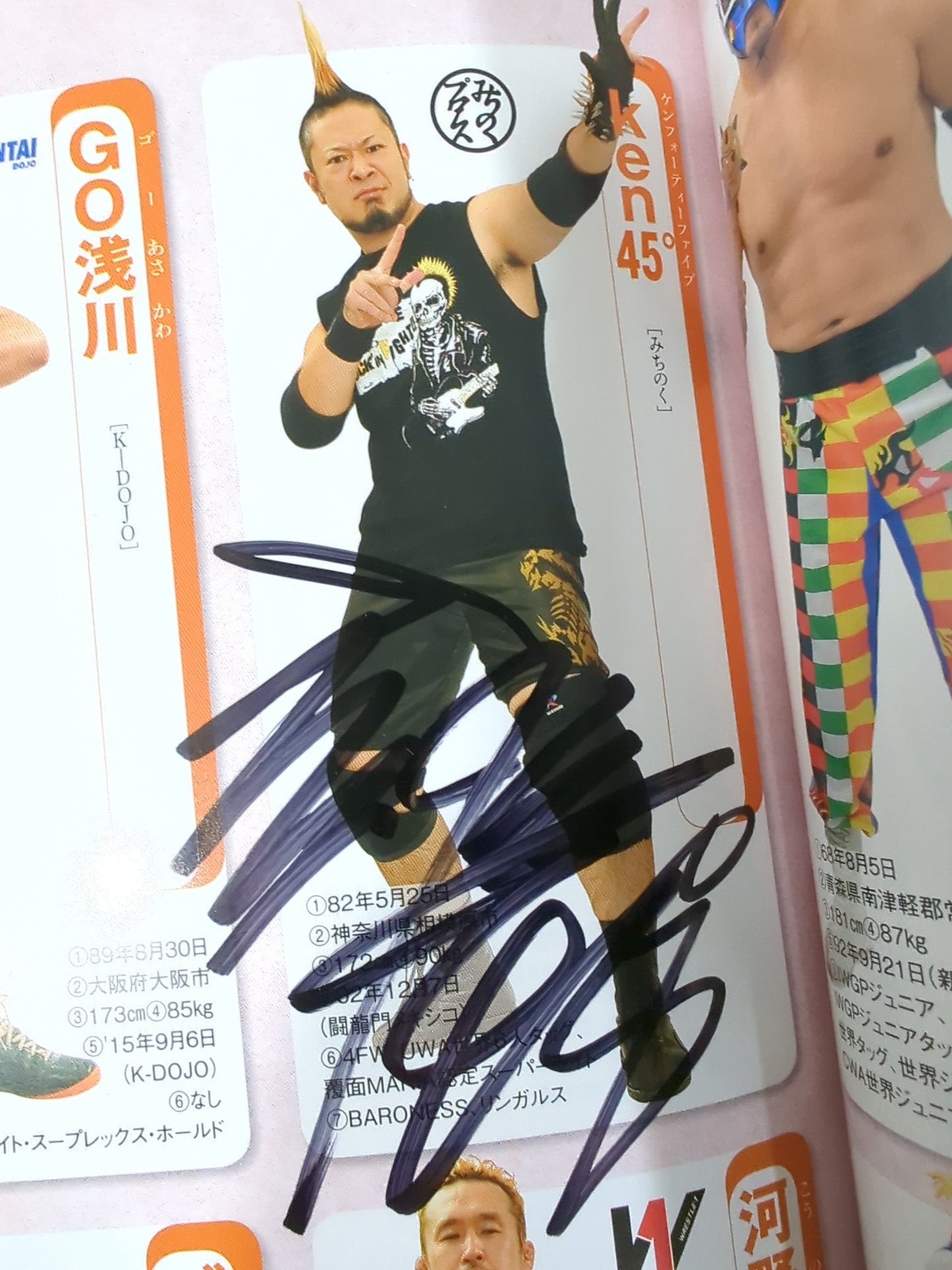 【15名直筆サイン入り】週刊プロレス別冊127「2016 保存版プロレスラー全身写真名鑑」