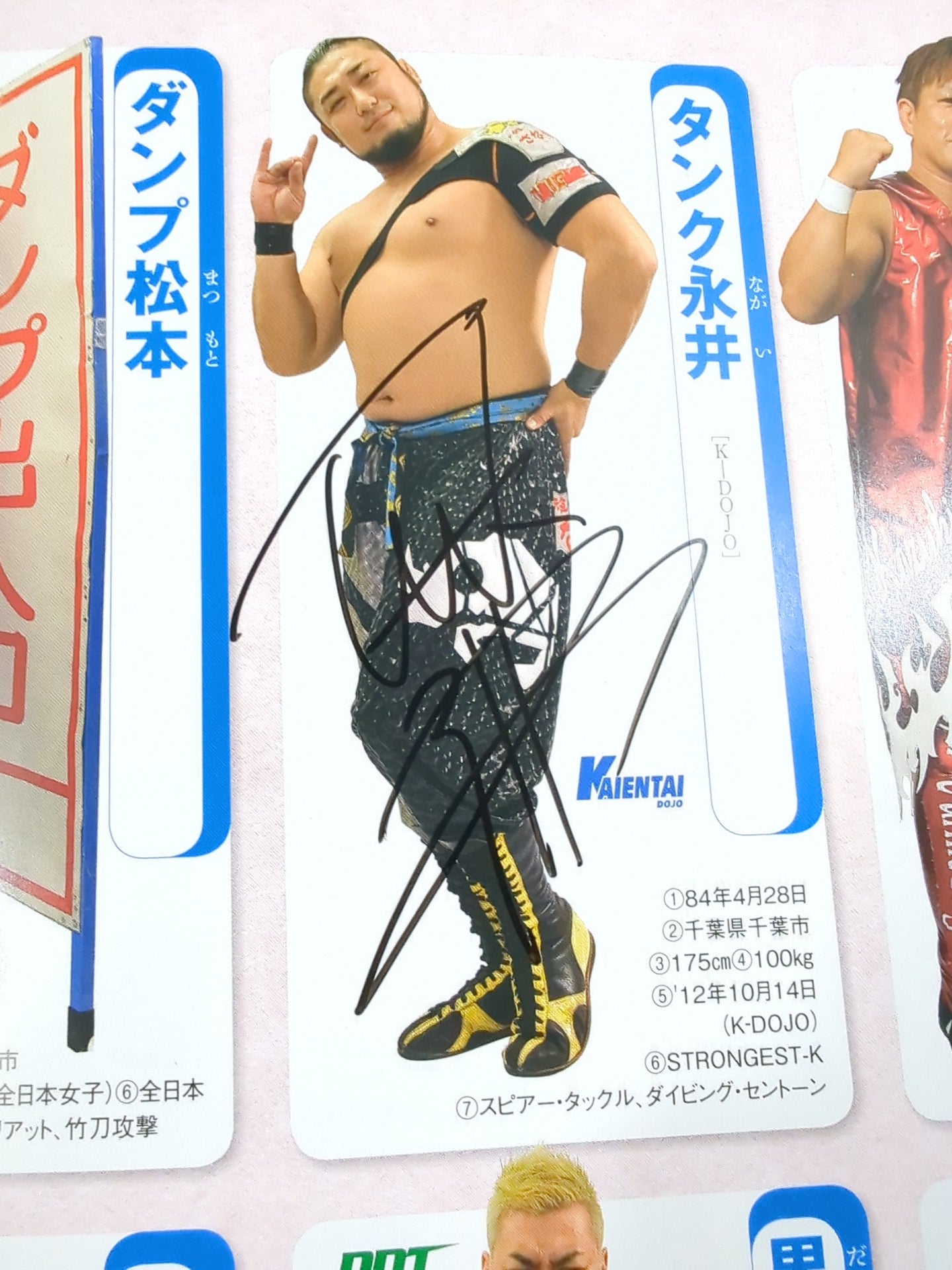 15名直筆サイン入り】週刊プロレス別冊127「2016 保存版プロレスラー