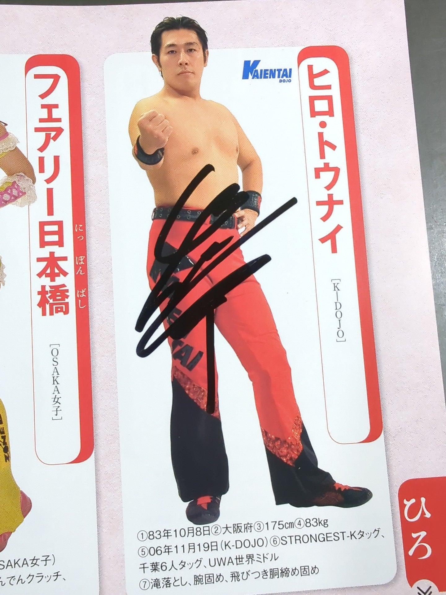【15名直筆サイン入り】週刊プロレス別冊127「2016 保存版プロレスラー全身写真名鑑」