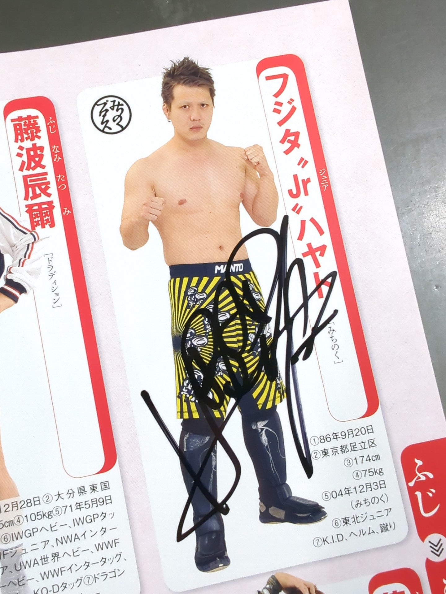 【15名直筆サイン入り】週刊プロレス別冊127「2016 保存版プロレスラー全身写真名鑑」