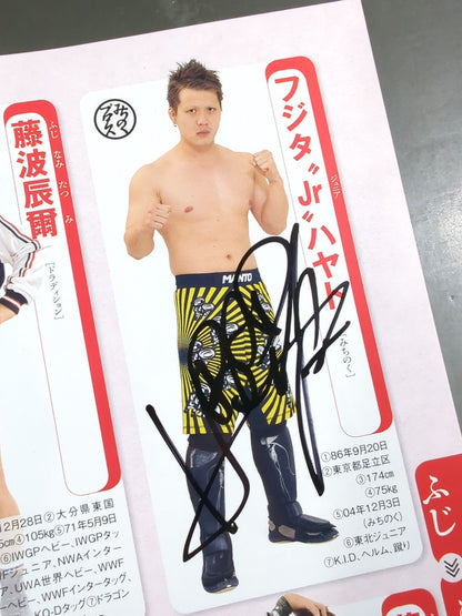 【15名直筆サイン入り】週刊プロレス別冊127「2016 保存版プロレスラー全身写真名鑑」