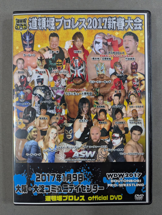 道頓堀プロレス 2017新春大会