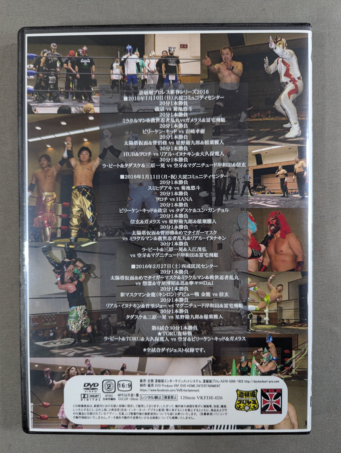 Dotonbori Pro Wrestling New Year Series 2016