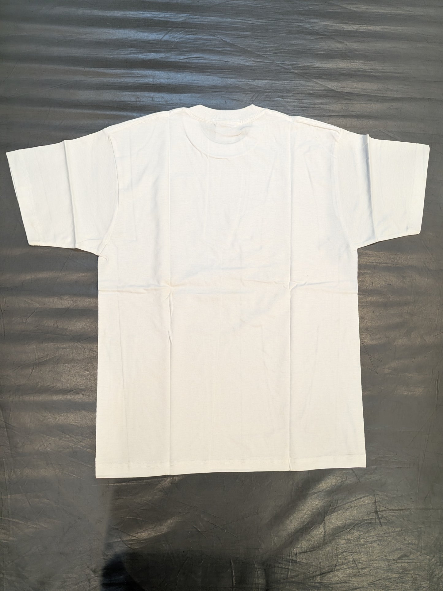 2002.4.14 ディファ有明 冬木弘道(引退記念試合) Tシャツ