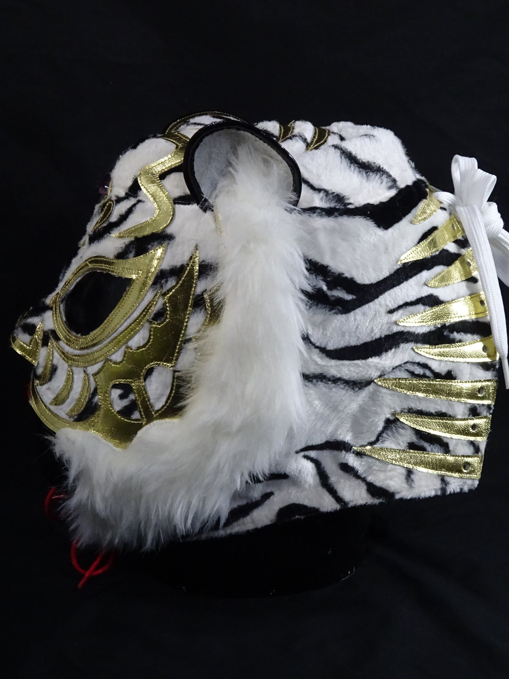 Resurrection!! The first Tiger Mask – 闘道館