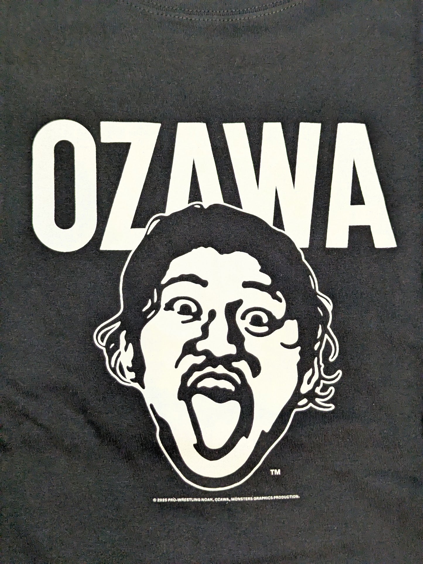 OZAWA MONSTERS GRAPHICS Series T-Shirt