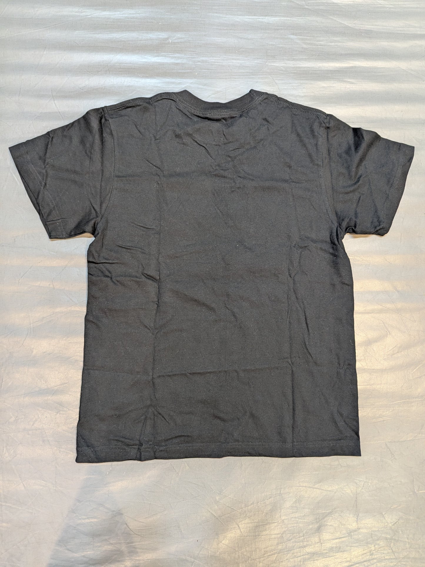 Naomichi Marufuji vs Kota Ibushi "Destiny 2024" Tournament Commemorative T-Shirt