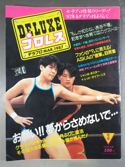 デラックスプロレス 1987年3月号