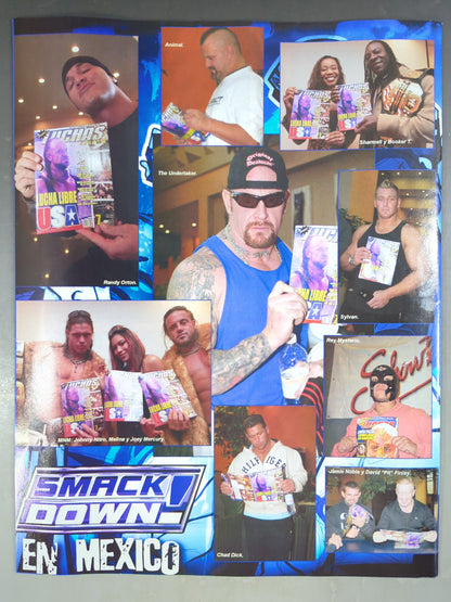 SUPER LUCHAS GRAFICO 8