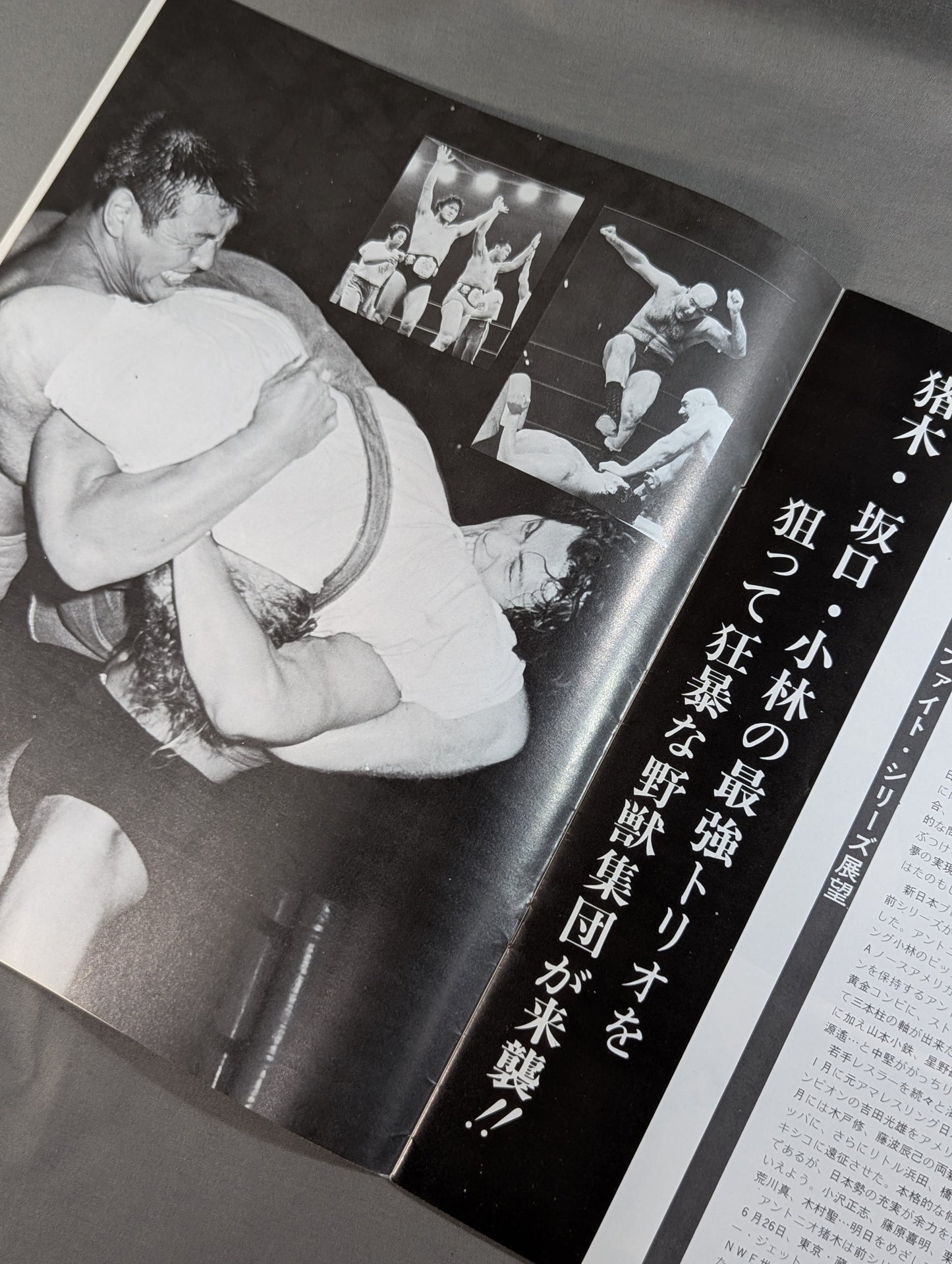 75サマー・ファイト・シリーズ