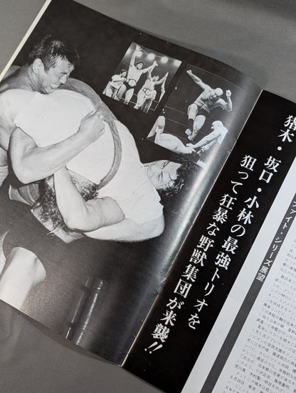 75サマー・ファイト・シリーズ