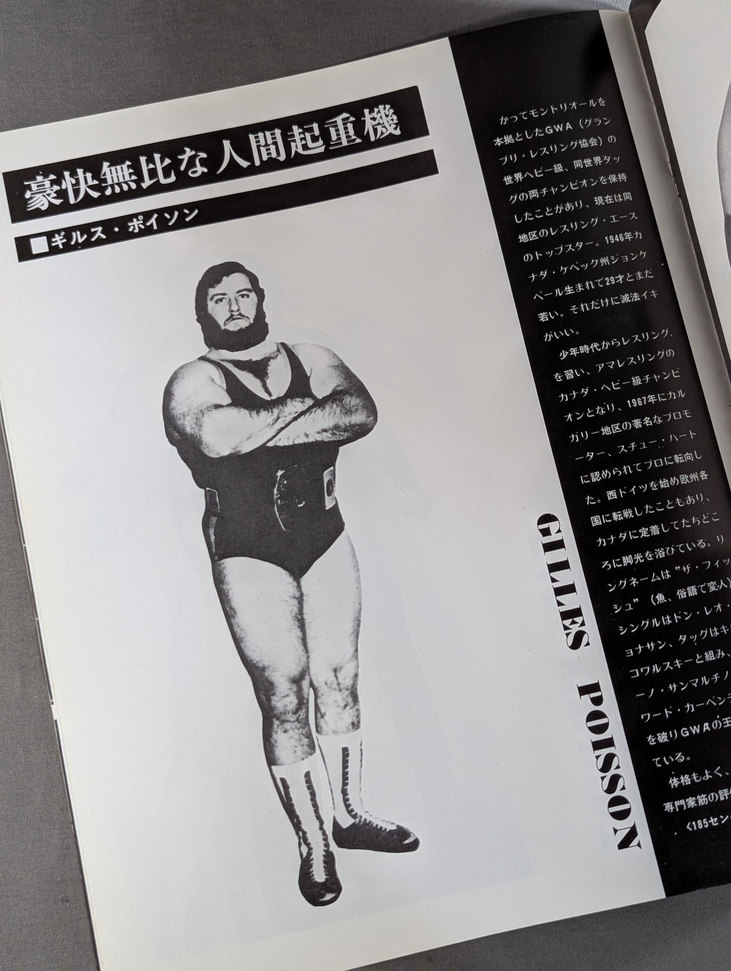 75サマー・ファイト・シリーズ