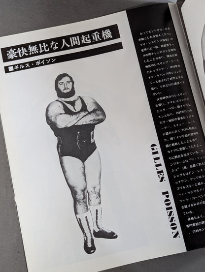 75サマー・ファイト・シリーズ