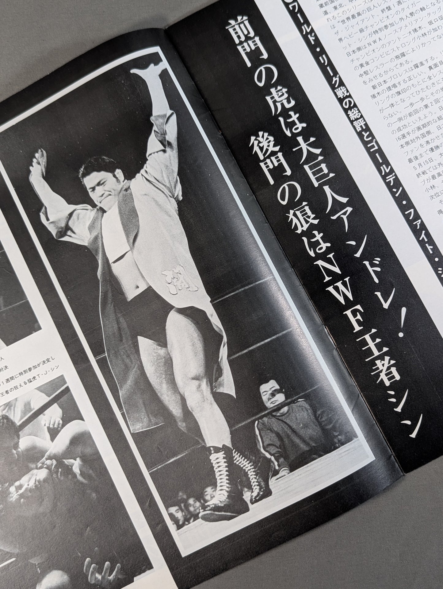 ★ Shin vs Inoki NWF Match ★ 75 Golden Fight Series