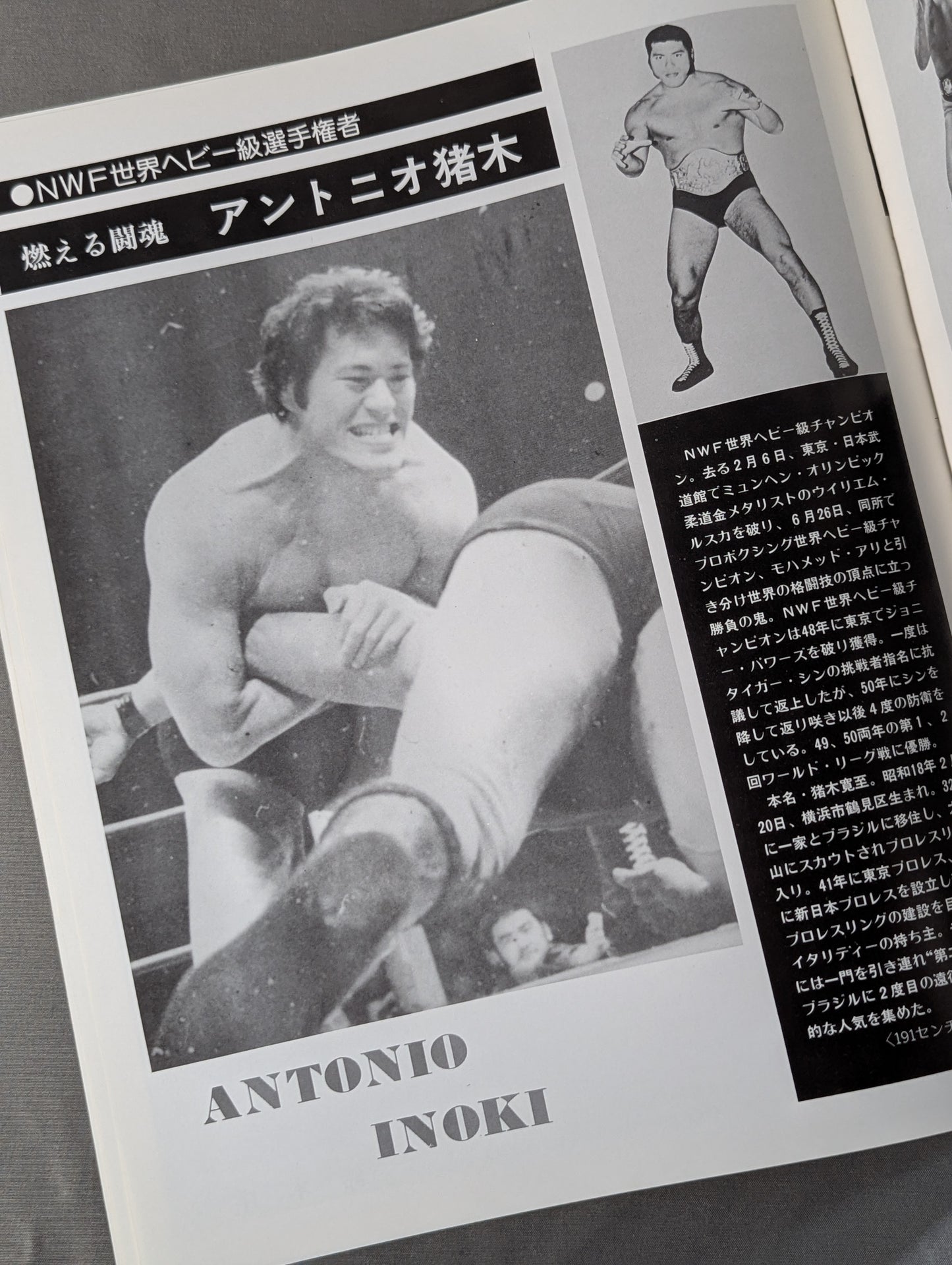 76闘魂シリーズ