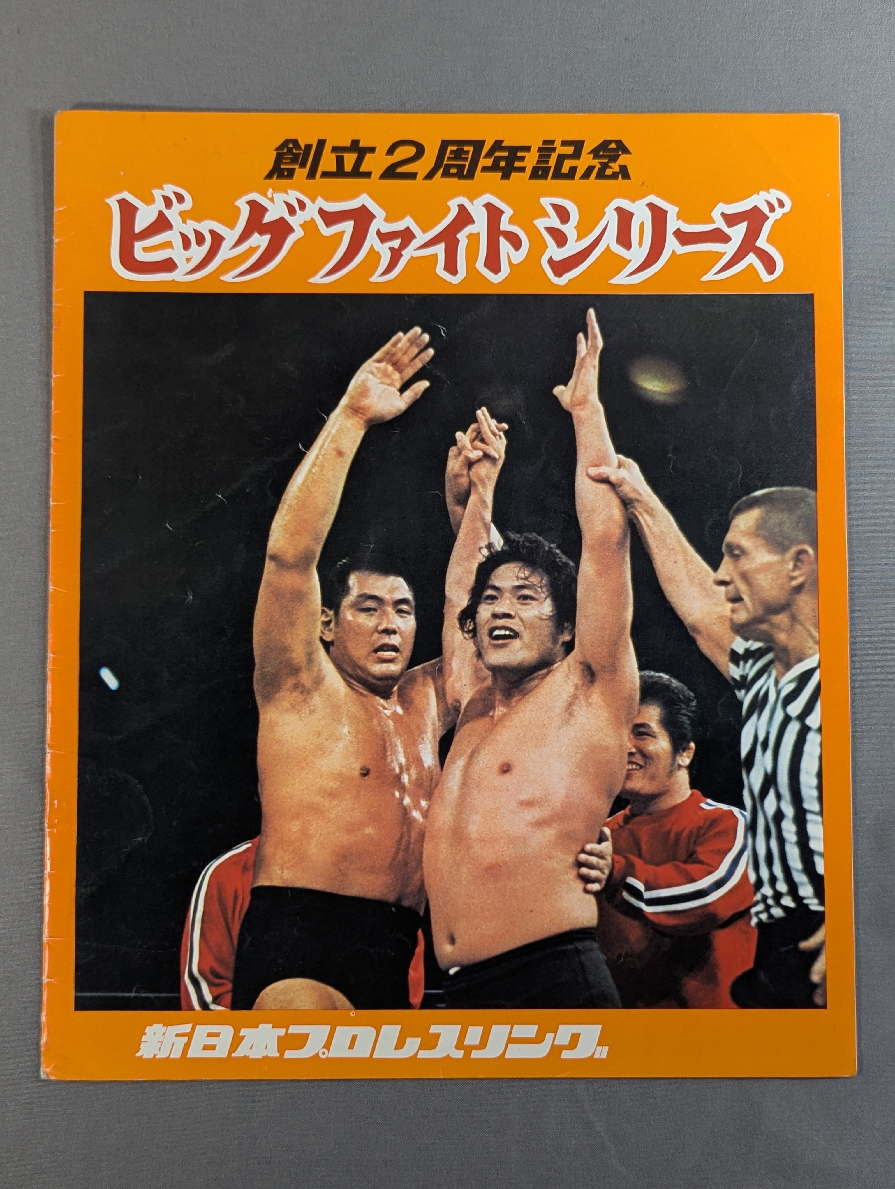 74ビッグ・ファイト・シリーズ – 闘道館