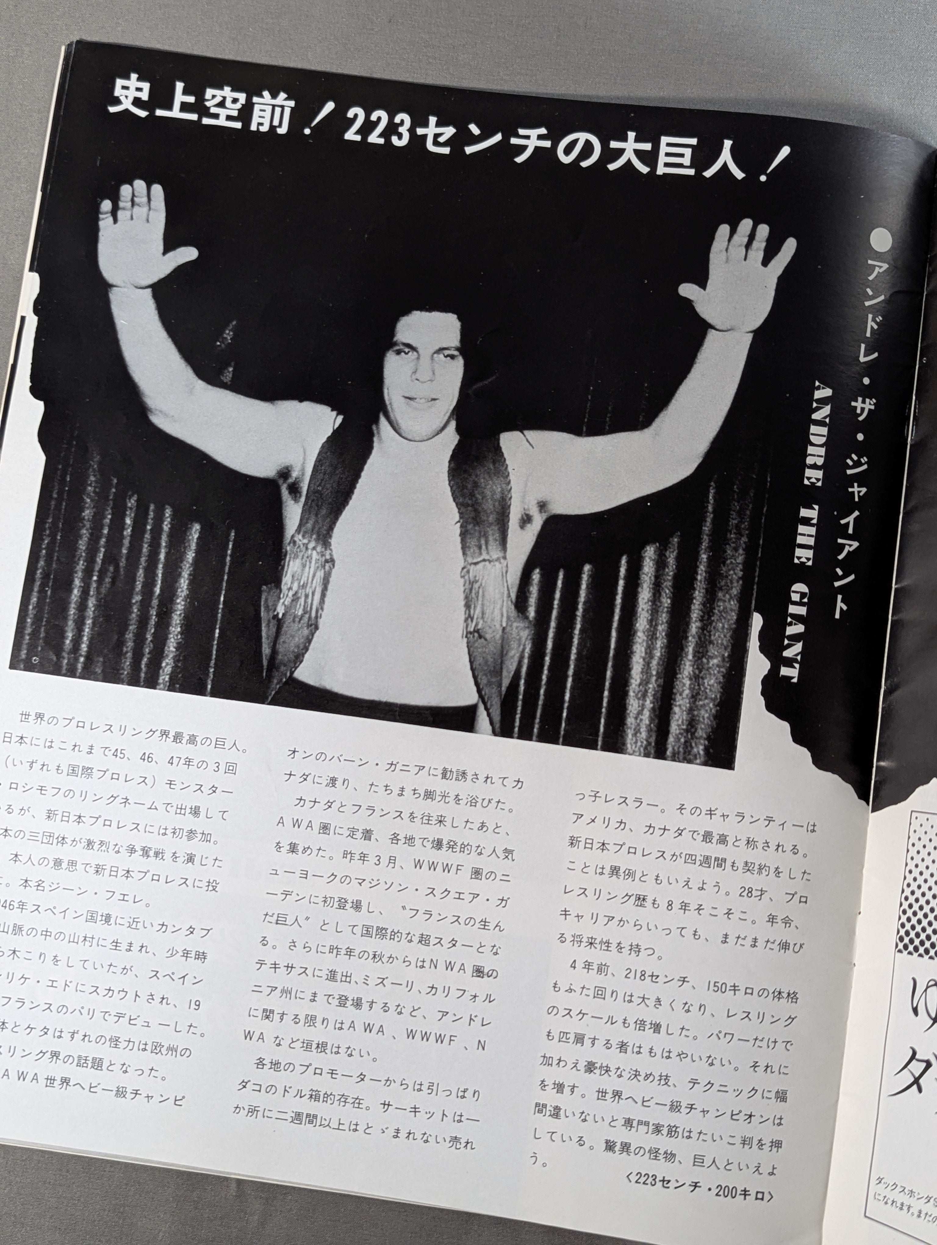 74ビッグ・ファイト・シリーズ – 闘道館