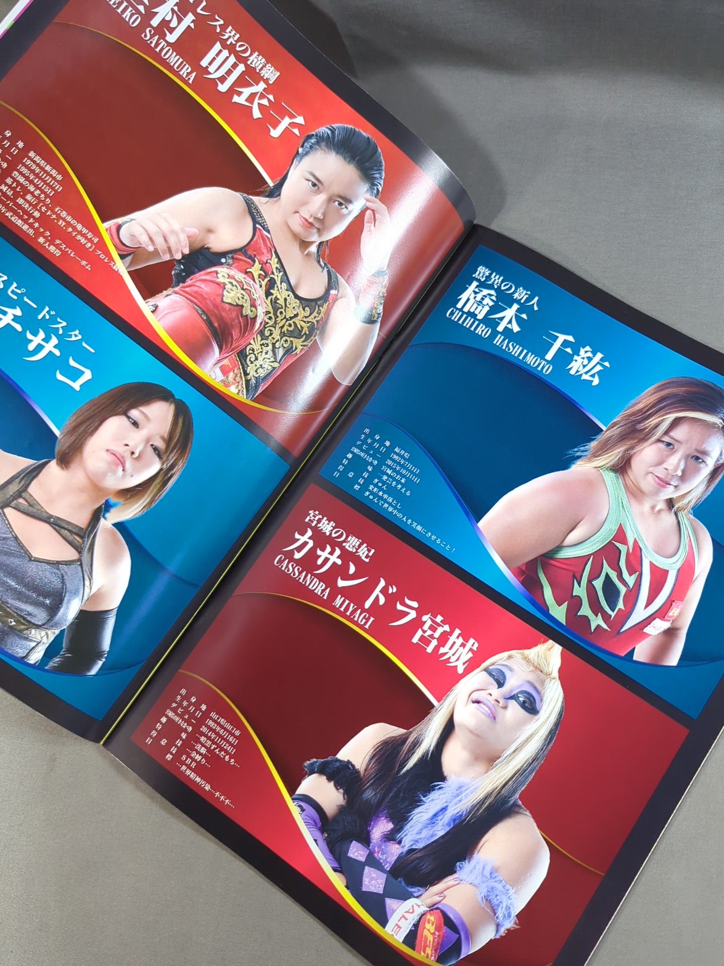 センダイガールズ / 10周年記念大会 女子プロレス BIG SHOW in 仙台(2016.10.16)