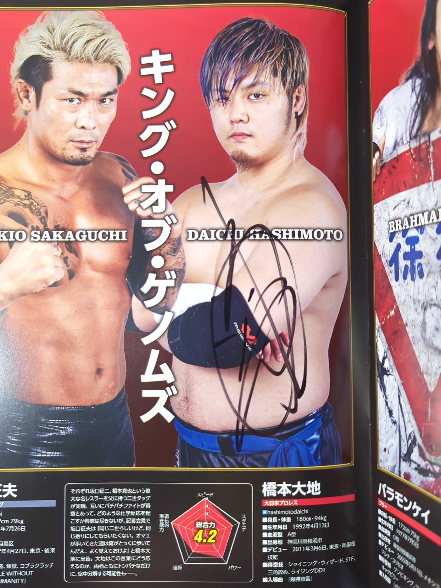 【8選手直筆サイン入り】年越しプロレス2016