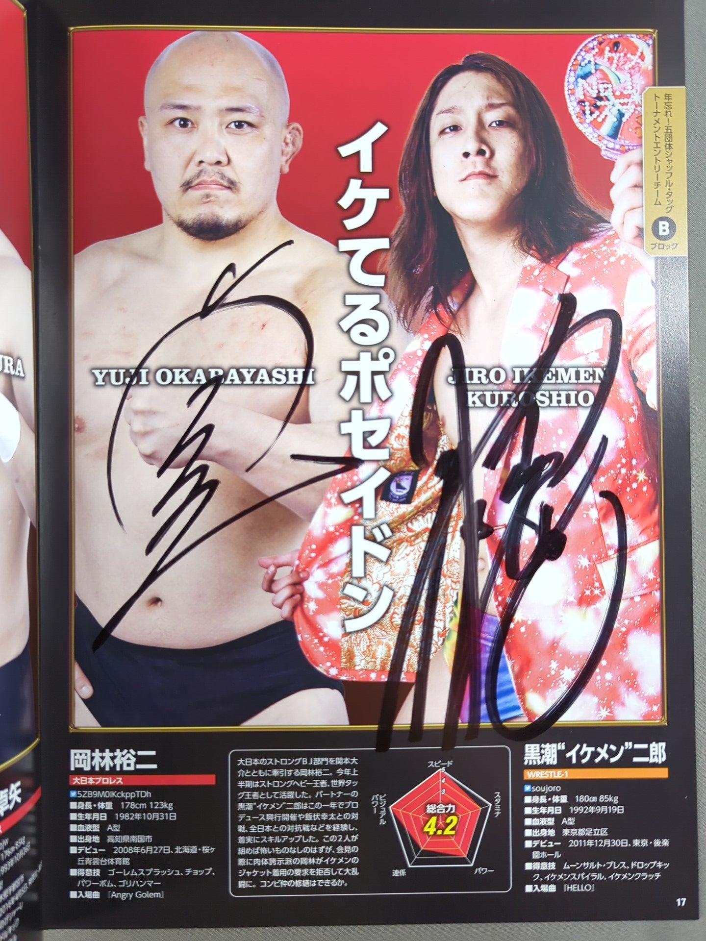 【8選手直筆サイン入り】年越しプロレス2016