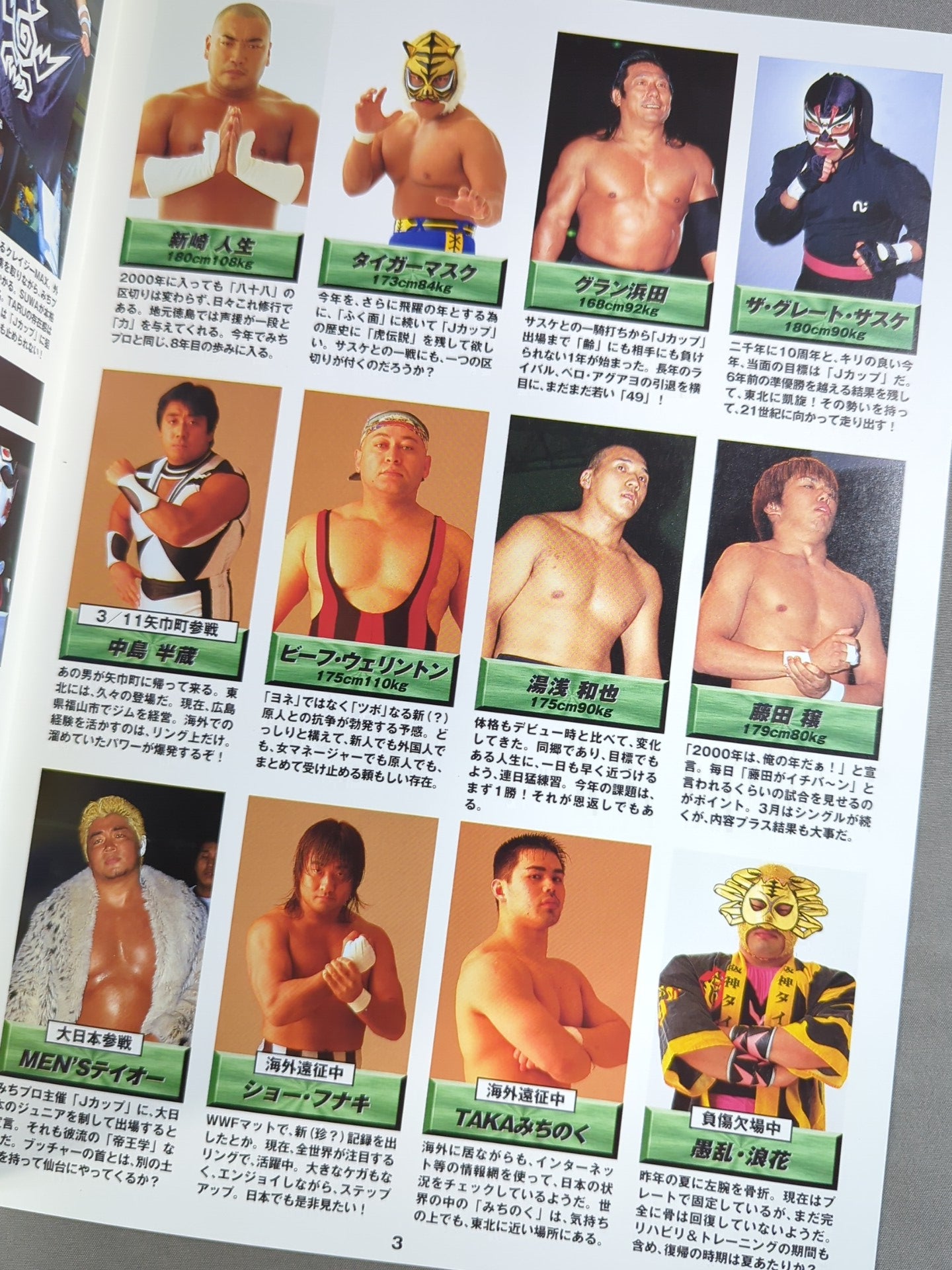 【半券付】みちのくプロレス オフィシャルパンフレット Vol.54